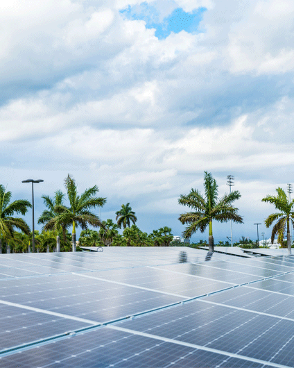 Growing-Our-Lower-Carbon-Solutions